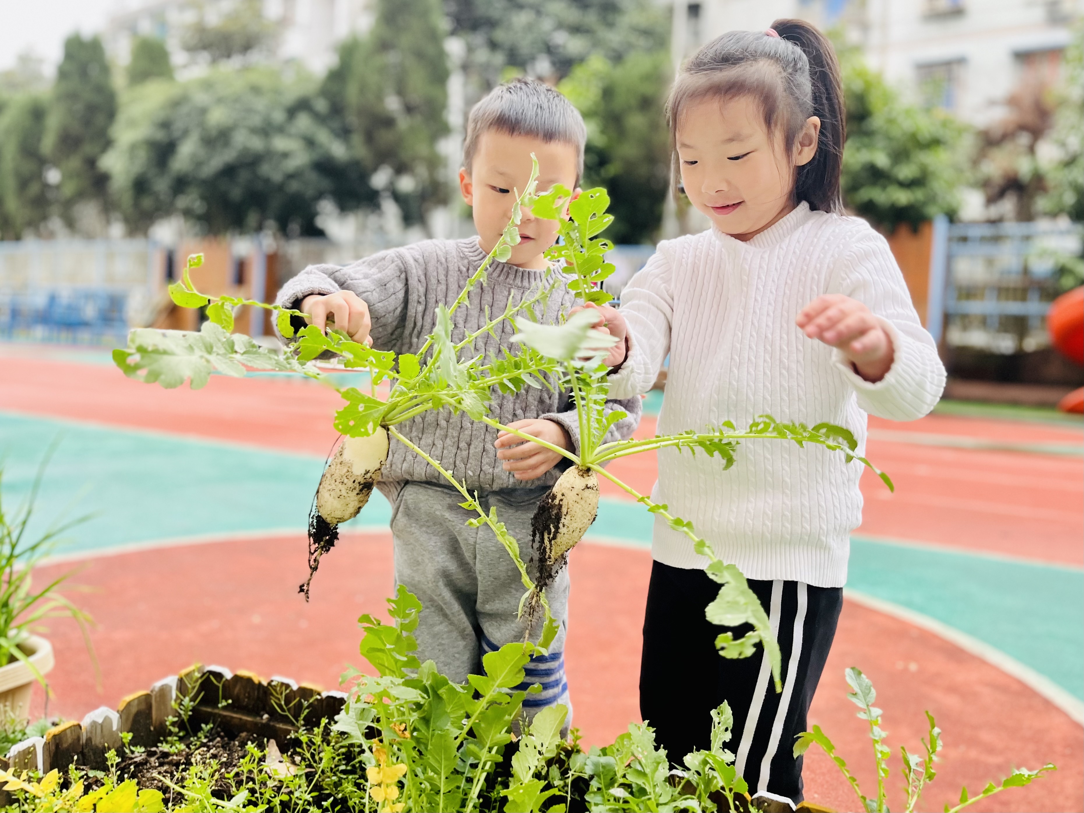 我的相册