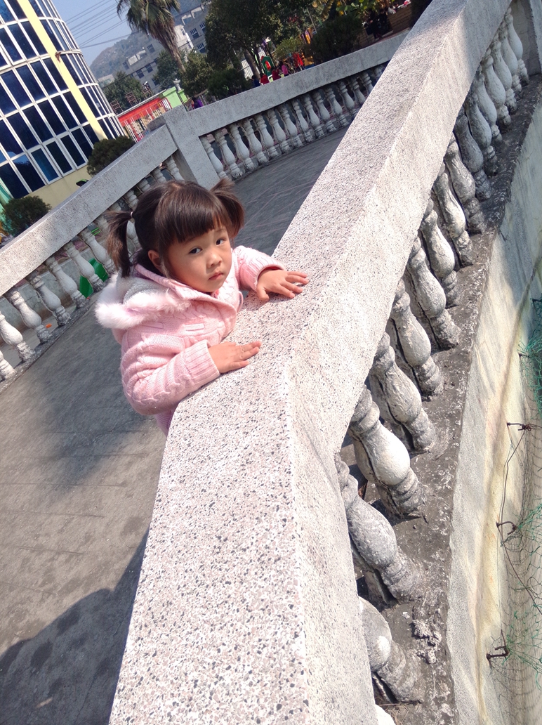 我的幼儿园生活